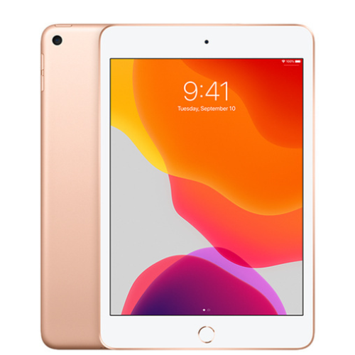 iPad Mini 1st Gen Wi-Fi