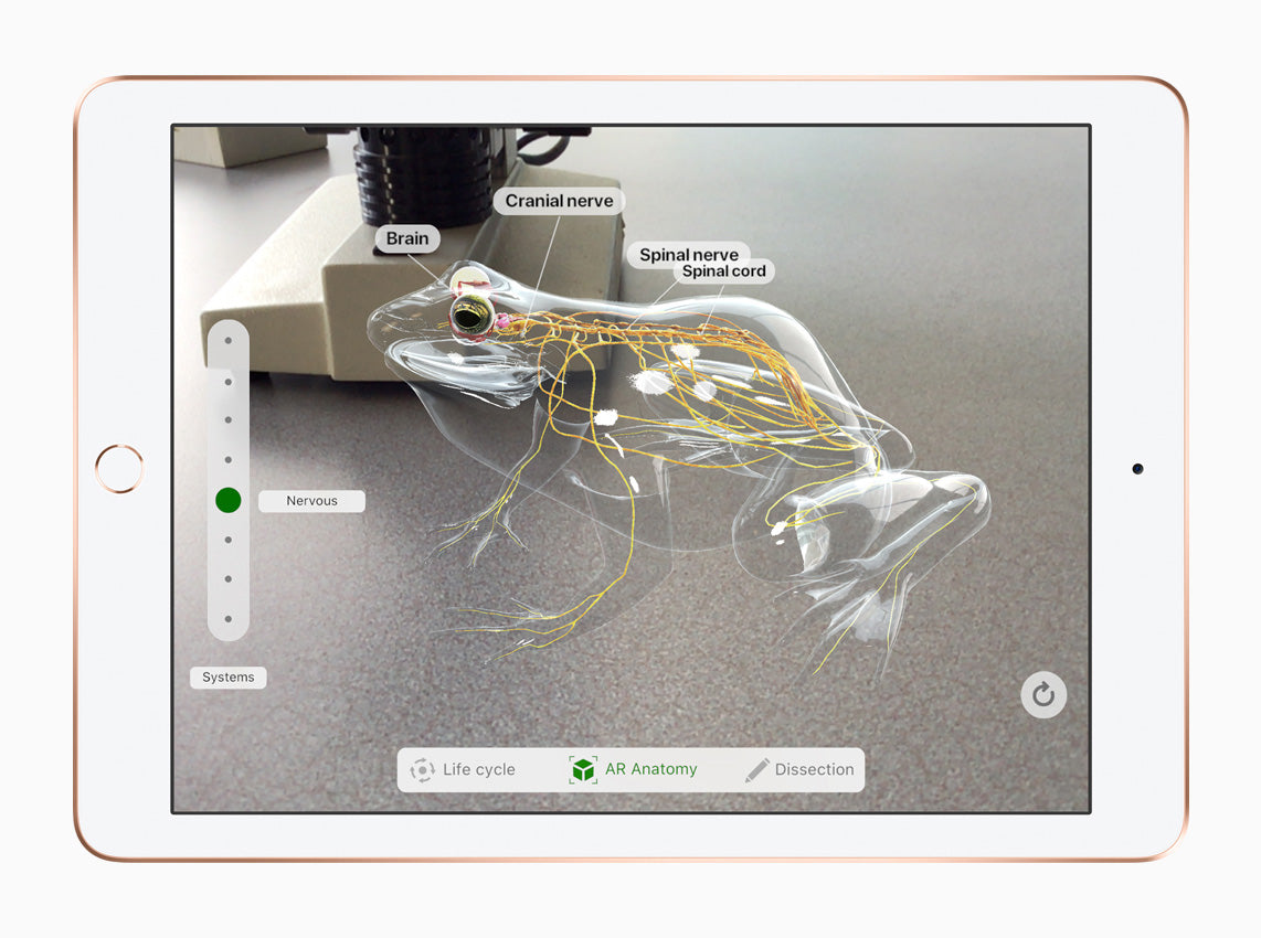 iPad 6th generation (2018), Gold, landscape front view showing an augmented-reality app