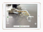 iPad 6th generation (2018), Gold, landscape front view showing an augmented-reality app