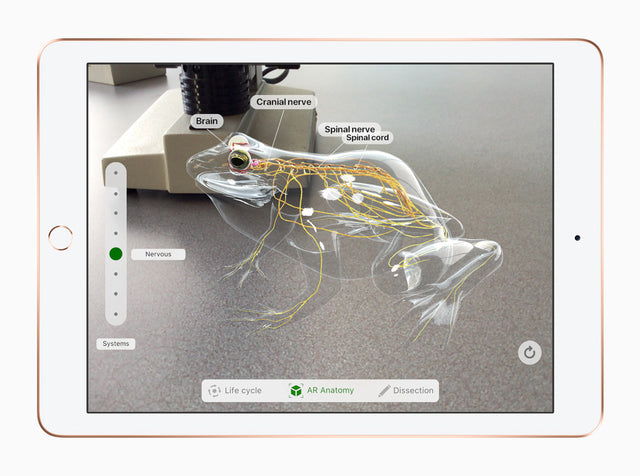 iPad 6th generation (2018), Gold, landscape front view showing an augmented-reality app
